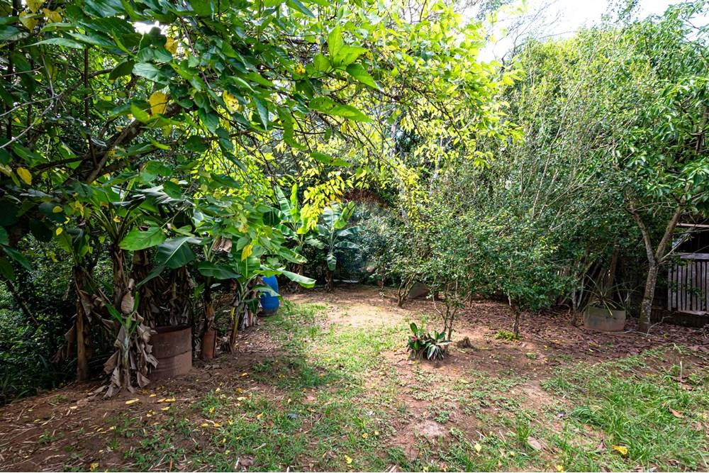 Chácara / Sítio / Fazenda - Venda - Novo Hamburgo , Rio Grande do Sul - DSC_3341.jpg - 610261015-33