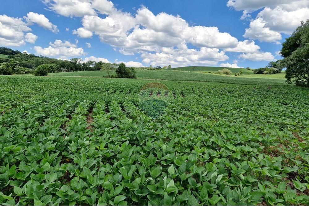 Chácara / Sítio / Fazenda - Venda - Nonoai , Rio Grande do Sul - IMG-20250107-WA0080.jpg - 610231004-83