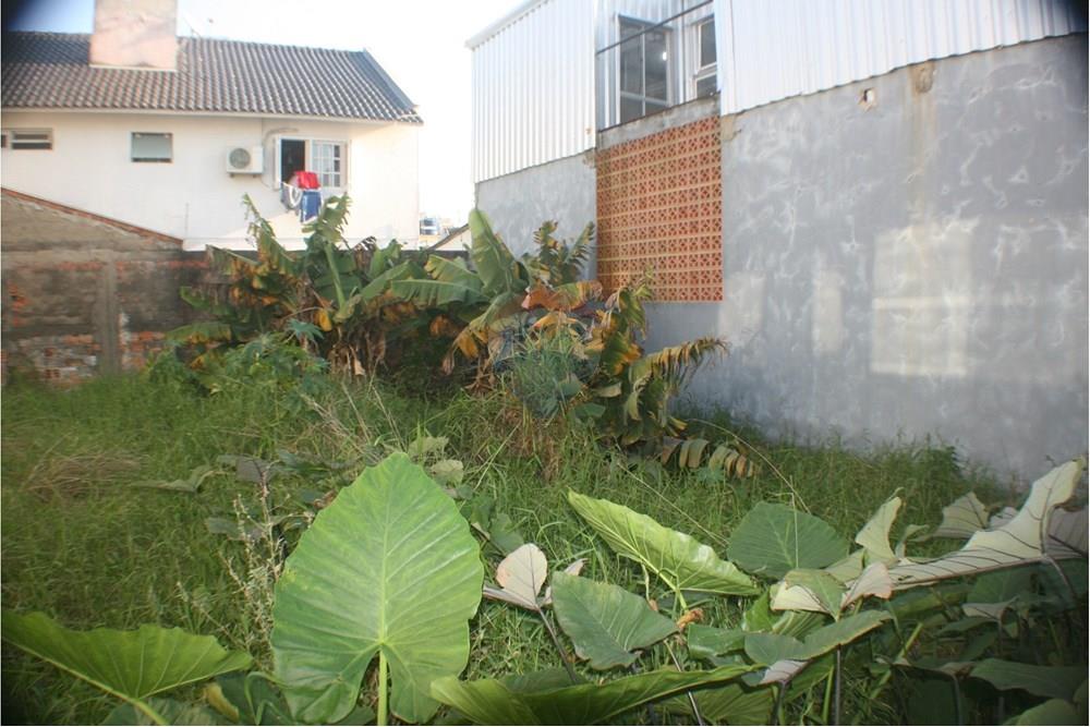 Terreno - Venda - Cachoeirinha , Rio Grande do Sul - WhatsApp Image 2025-07-22 at 17.29.26 (21).jpeg - 612551076-2