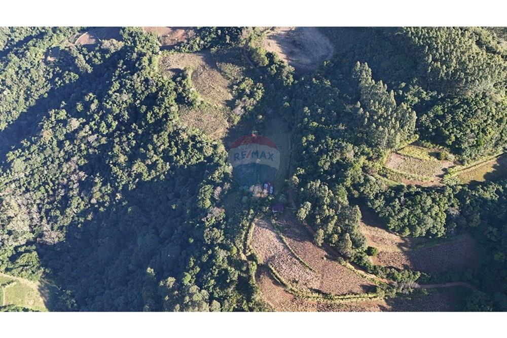 Chácara / Sítio / Fazenda - Venda - Santa Cruz do Sul , Rio Grande do Sul - IMG-20250731-WA0011.jpg - 612741028-54