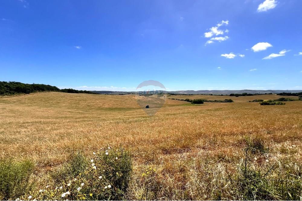 Chácara - Venda - Lavras do Sul , Rio Grande do Sul - WhatsApp Image 2025-01-13 at 23.11.44.jpeg - 612631031-7