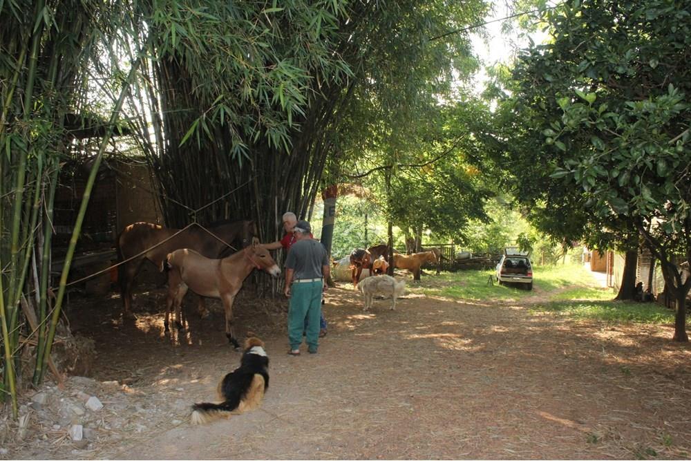 Industrial - Venda - Gravataí , Rio Grande do Sul - IMG_2205.JPG - 610161057-45