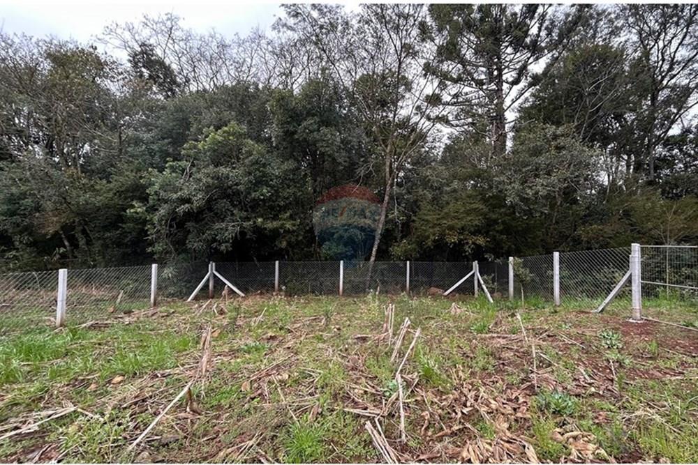 Terreno - Venda - Barão de Cotegipe , Rio Grande do Sul - WhatsApp Image 2025-08-09 at 14.34.26 (2).jpeg - Fachada - 612761035-8