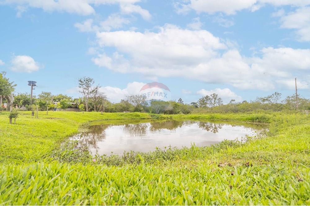 Chácara / Sítio / Fazenda - Venda - Gravataí , Rio Grande do Sul - WhatsApp Image 2025-06-12 at 22.07.05.jpeg - 610381108-10