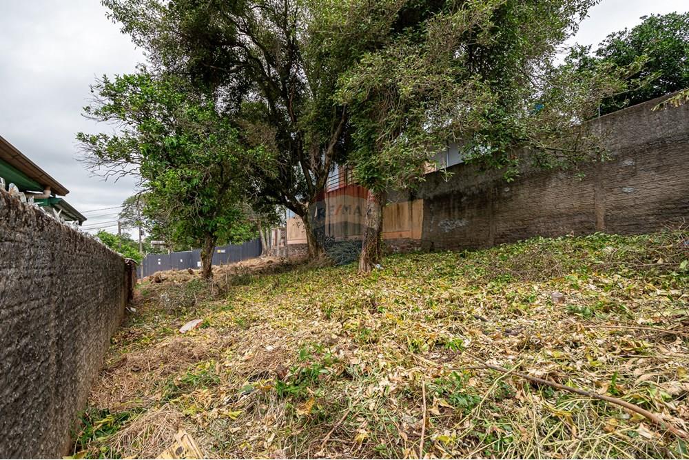 Terreno - Venda - Novo Hamburgo , Rio Grande do Sul - DSC_8184.jpg - 610261045-3