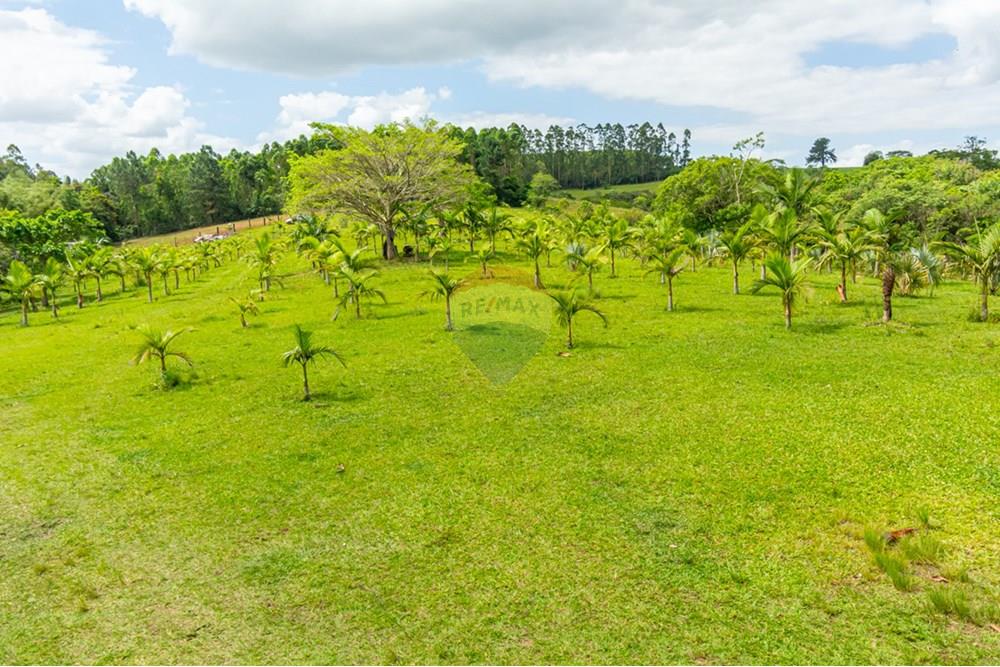 Terreno - Venda - Gravataí , Rio Grande do Sul - _DSC4964.jpg - 610161057-39