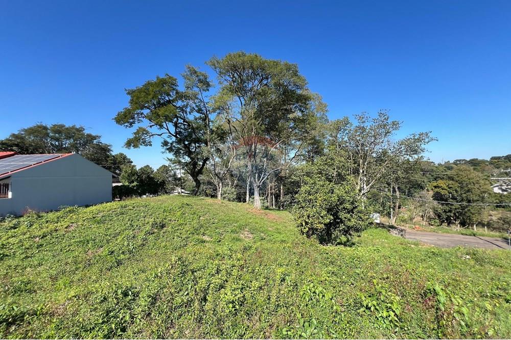 Terreno - Venda - Erechim , Rio Grande do Sul - IMG-20250606-WA0116.jpg - 612761001-45