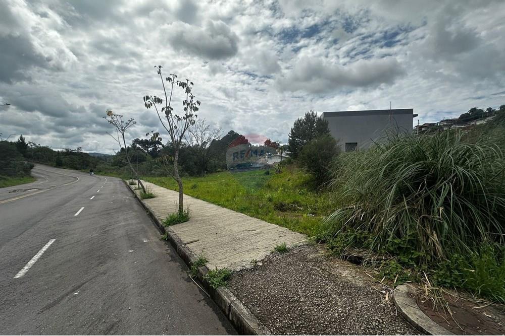 Terreno - Venda - Bento Gonçalves , Rio Grande do Sul - WhatsApp Image 2025-10-07 at 11.32.21.jpeg - 610331038-43