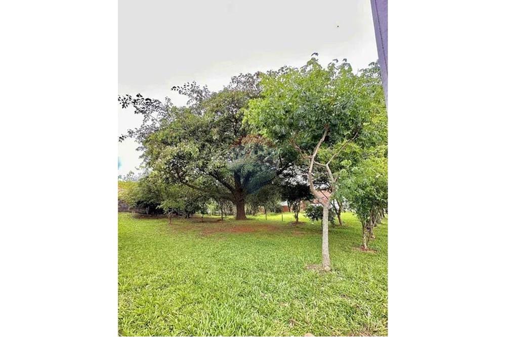 Casa - Alugar - Santa Maria , Rio Grande do Sul - 73c8f71b-20ad-46aa-93a7-3414593bece8.jpg - 610471003-39