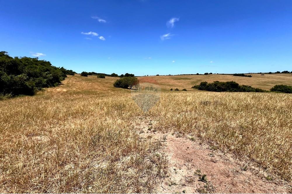 Chácara - Venda - Lavras do Sul , Rio Grande do Sul - WhatsApp Image 2025-01-13 at 23.07.42.jpeg - 612631031-7