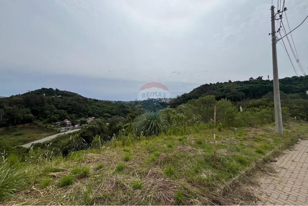 Terreno - Venda - Bento Gonçalves , Rio Grande do Sul - WhatsApp Image 2024-12-11 at 14.23.12 (1).jpeg - 610331038-19