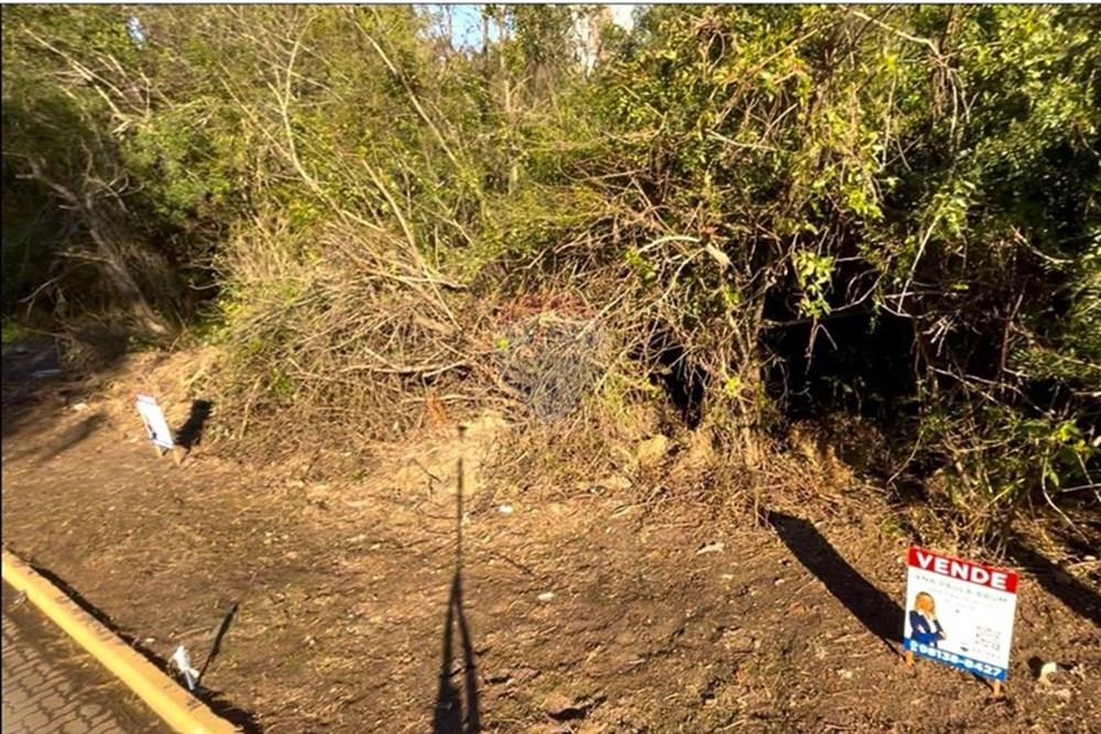 Terreno - Venda - Guaíba , Rio Grande do Sul - Imagem do WhatsApp de 2025-08-28 à(s) 16.10.24_4688e3e3.jpg - 612781019-16