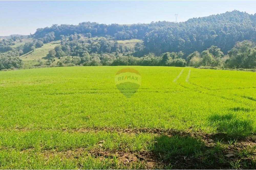 Chácara / Sítio / Fazenda - Venda - Trindade do Sul , Rio Grande do Sul - IMG-20250814-WA0080.jpg - 610231004-94