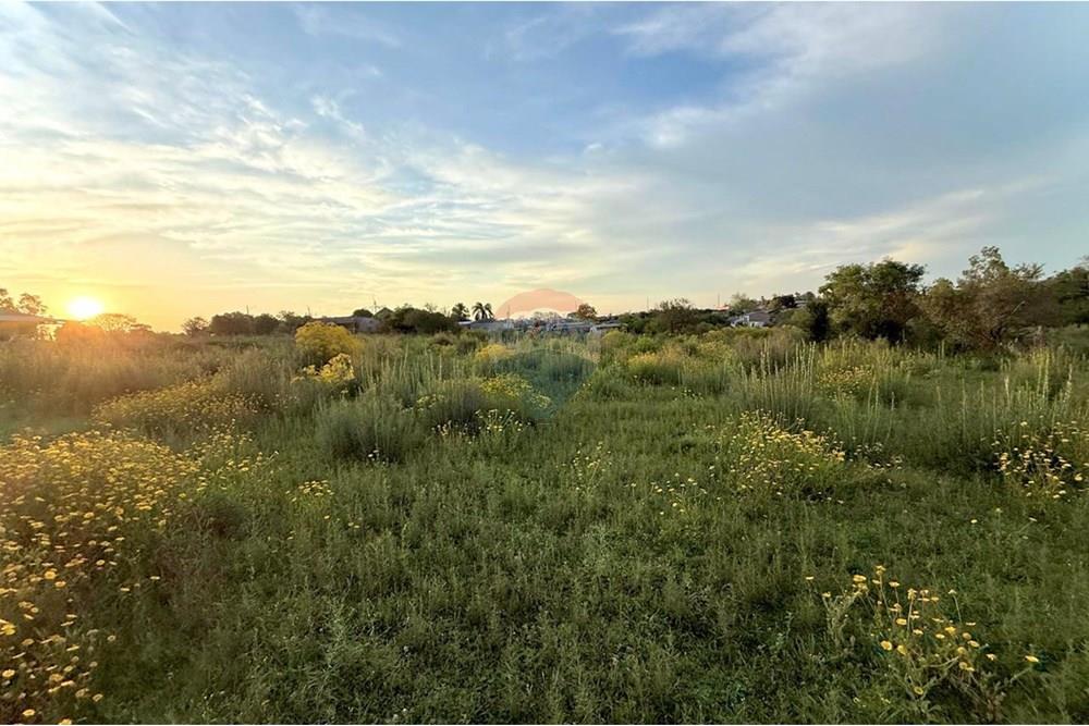 Terreno - Venda - São Gabriel , Rio Grande do Sul - WhatsApp Image 2025-10-24 at 10.48.20 (1).jpeg - 612631001-66