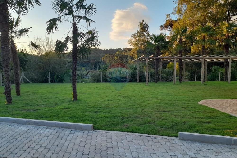 Outros - Venda - Garibaldi , Rio Grande do Sul - WhatsApp Image 2025-01-18 at 18.18.29.jpeg - Jardim Interno - 610331031-14