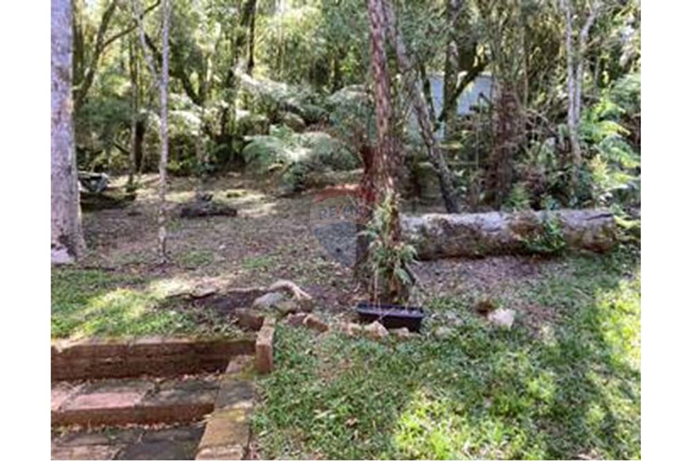 Casa - Venda - São Francisco de Paula , Rio Grande do Sul - IMG_5539_2.thumbnail.jpg - 610131051-6