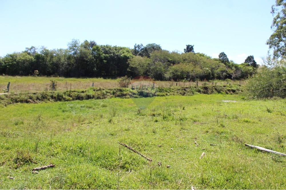 Casa de Campo - Venda - Santo Antônio da Patrulha , Rio Grande do Sul - IMG_3270 (2).JPG - 610161090-7