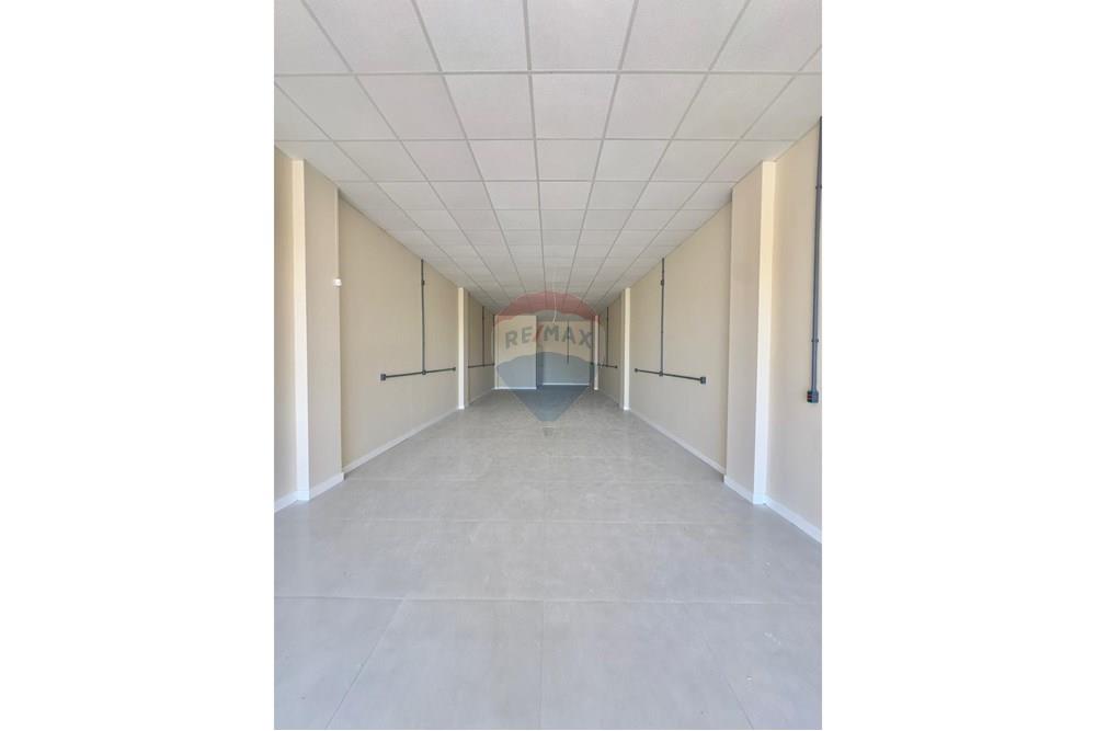 Prédio - Alugar - Santa Maria , Rio Grande do Sul - WhatsApp Image 2025-10-03 at 17.29.52.jpeg - 610471003-166