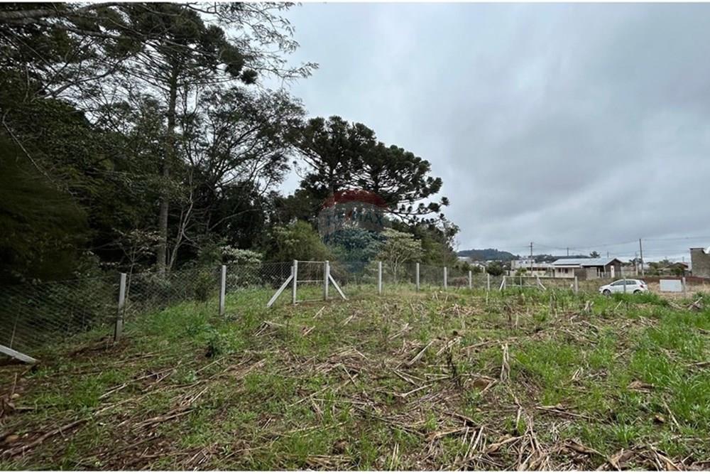 Terreno - Venda - Barão de Cotegipe , Rio Grande do Sul - WhatsApp Image 2025-08-09 at 14.34.27 (1).jpeg - Fachada - 612761035-8