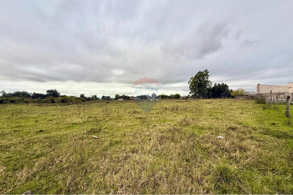 Chácara / Sítio / Fazenda - Venda - São Gabriel , Rio Grande do Sul - WhatsApp Image 2025-07-08 at 09.39.03 (2).jpeg - 612631045-18