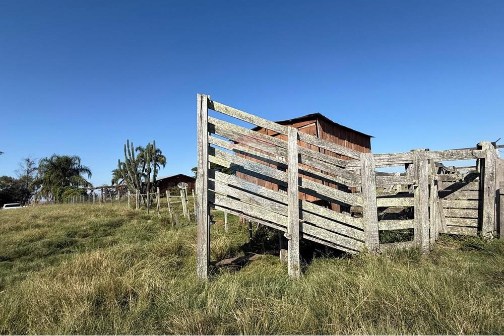 Chácara / Sítio / Fazenda - Venda - São Gabriel , Rio Grande do Sul - Imagem do WhatsApp de 2025-06-27 à(s) 23.51.30_f202d087.jpg - 612631046-8