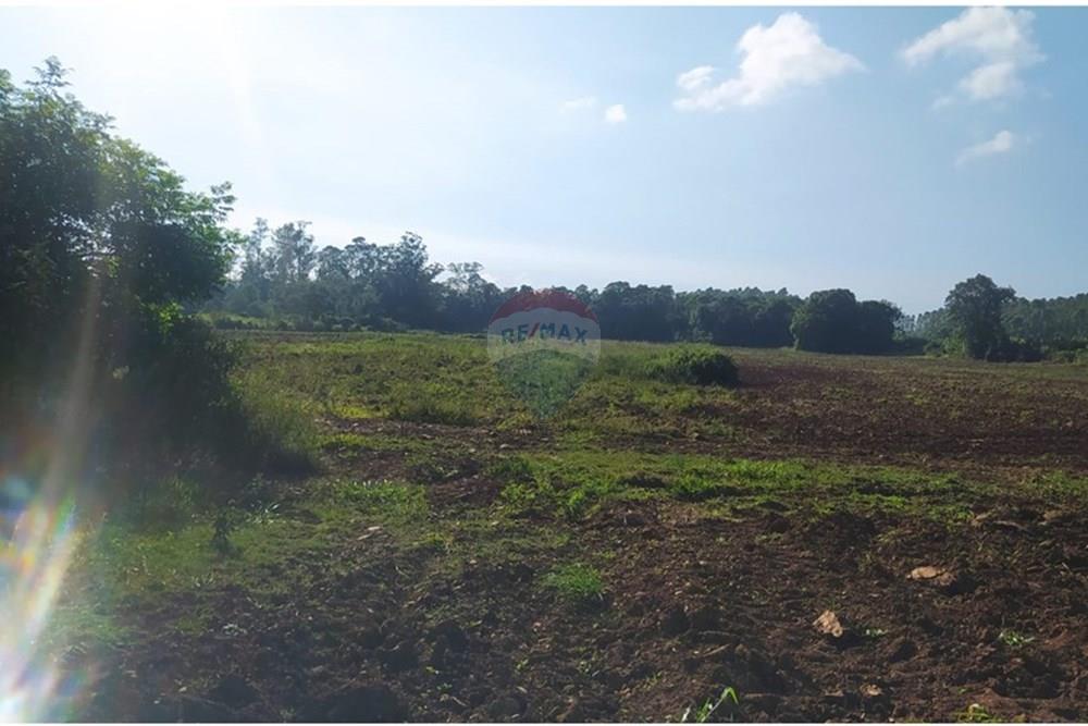 Terreno - Venda - Terra de Areia , Rio Grande do Sul - 35edcb07-a854-444c-b754-1fa7f59e97ac.jpg - 612671028-42