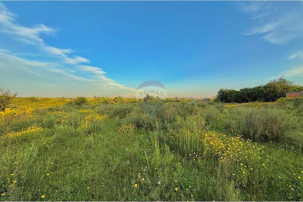 Terreno - Venda - São Gabriel , Rio Grande do Sul - WhatsApp Image 2025-10-24 at 10.48.22.jpeg - 612631001-66