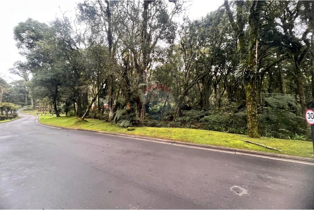 Terreno - Venda - Gramado , Rio Grande do Sul - WhatsApp Image 2024-12-12 at 06.37.30 (6).jpeg - 610131034-40