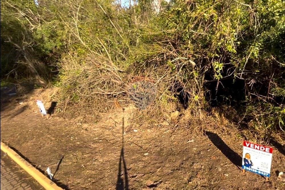 Terreno - Venda - Guaíba , Rio Grande do Sul - Imagem do WhatsApp de 2025-07-25 à(s) 20.00.00_3f6cb1cb.jpg - 612781019-5