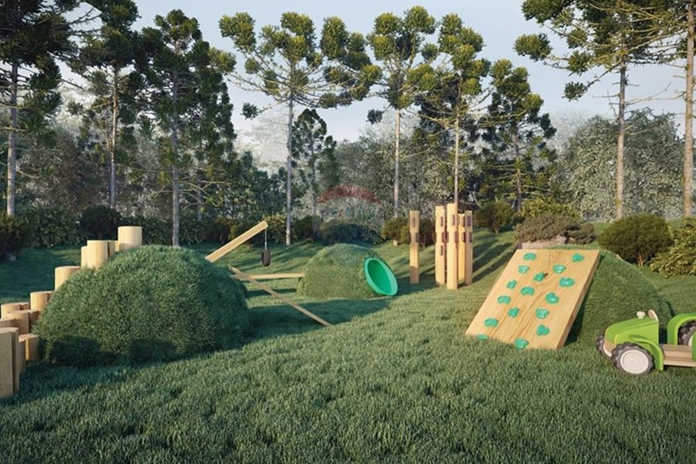 Terreno - Venda - São Francisco de Paula , Rio Grande do Sul - WhatsApp Image 2024-07-30 at 15.33.17.jpeg - 610131041-83