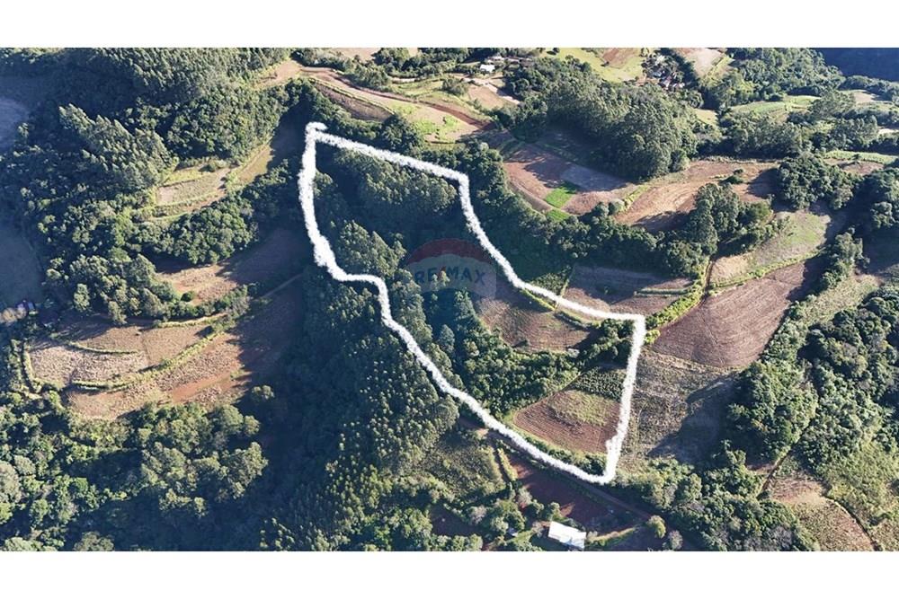 Chácara / Sítio / Fazenda - Venda - Santa Cruz do Sul , Rio Grande do Sul - WhatsApp Image 2025-06-13 at 22.11.58.jpeg - 612741028-54