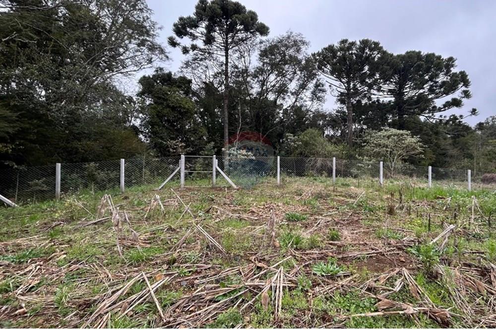 Terreno - Venda - Barão de Cotegipe , Rio Grande do Sul - WhatsApp Image 2025-08-09 at 14.34.26 (3).jpeg - Fachada - 612761035-8