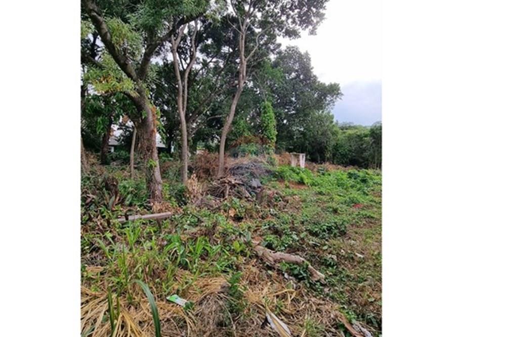 Terreno - Venda - Porto Alegre , Rio Grande do Sul - 20250424_152544.jpg - 610371008-98