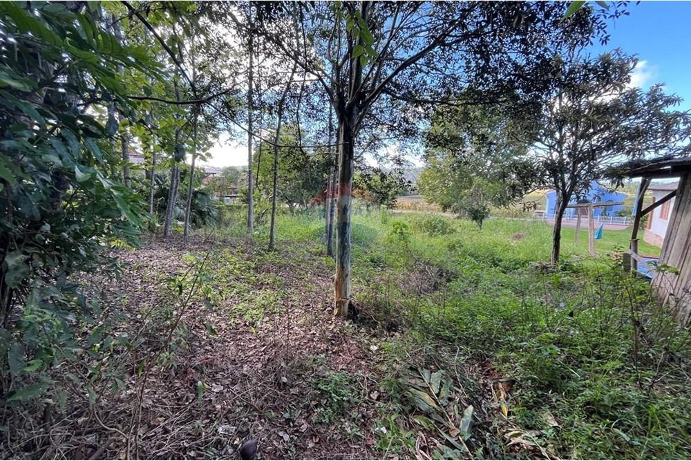 Terreno - Venda - Santa Cruz do Sul , Rio Grande do Sul - WhatsApp Image 2025-07-01 at 14.45.03 (2).jpeg - 612741054-6