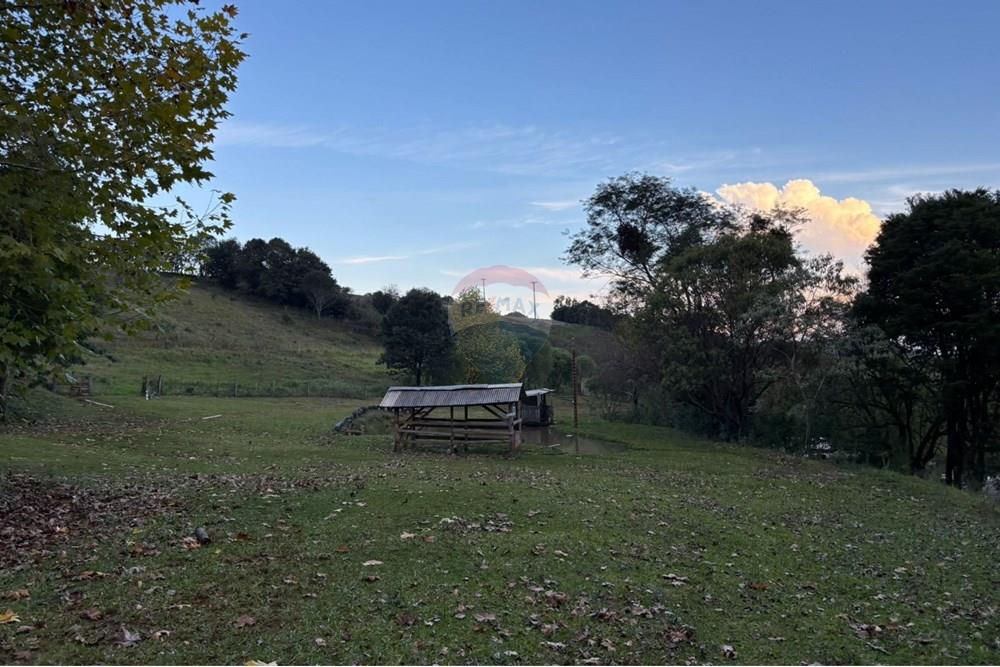 Chácara / Sítio / Fazenda - Venda - Sarandi , Rio Grande do Sul - WhatsApp Image 2025-06-06 at 17.20.40.jpeg - 610341006-377