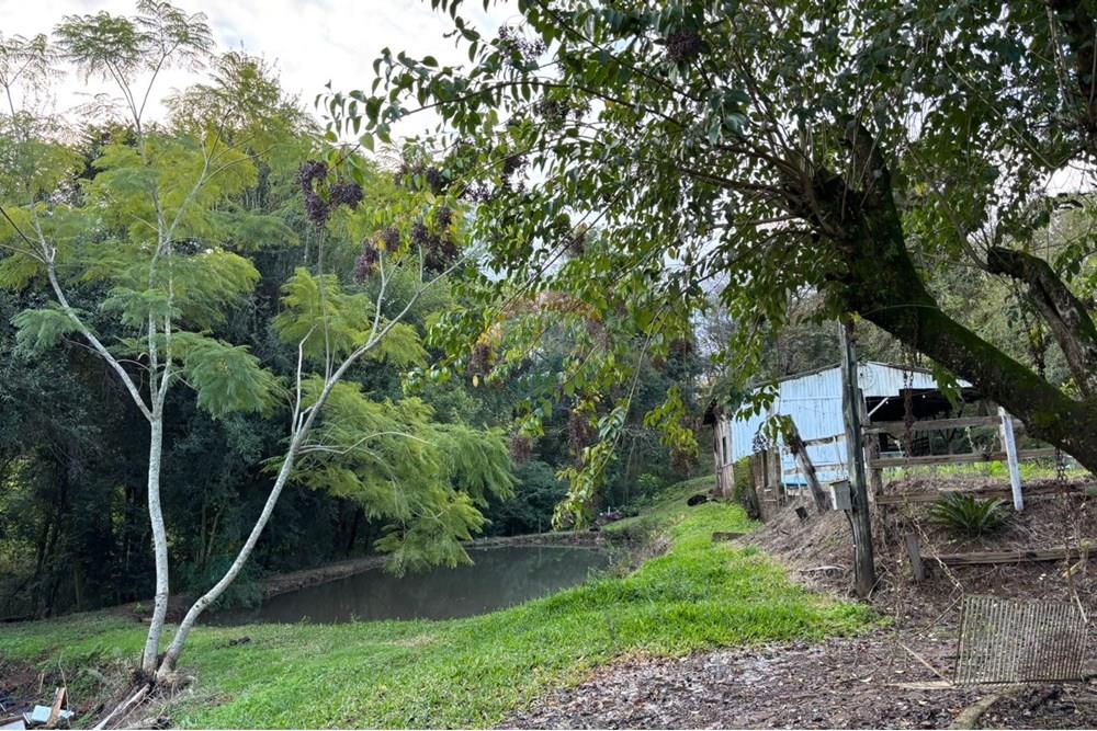 Chácara / Sítio / Fazenda - Venda - Sarandi , Rio Grande do Sul - WhatsApp Image 2025-06-06 at 17.21.07.jpeg - 610341006-377