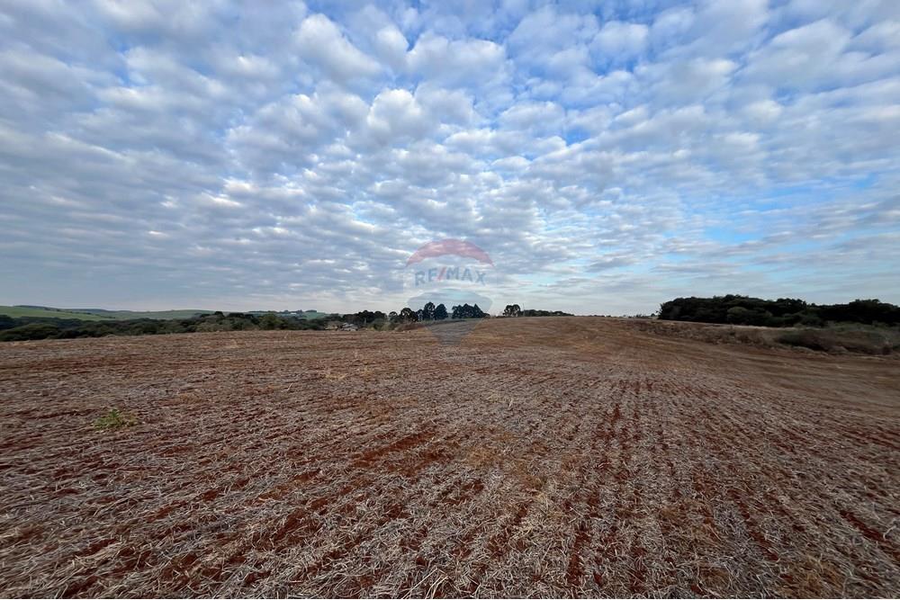 Fazenda - Venda - Lagoa Vermelha , Rio Grande do Sul - IMG_2570.JPG - 610111017-1