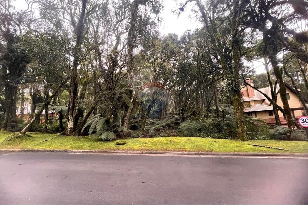 Terreno - Venda - Gramado , Rio Grande do Sul - WhatsApp Image 2024-12-12 at 06.37.30.jpeg - 610131034-40