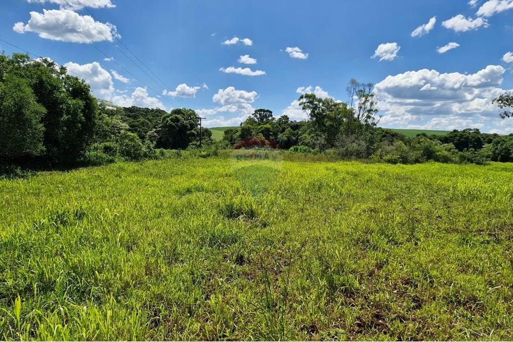 Chácara / Sítio / Fazenda - Venda - Nonoai , Rio Grande do Sul - Imagem do WhatsApp de 2025-01-07 à(s) 15.48.20_9572bb63.jpg - 610231004-83