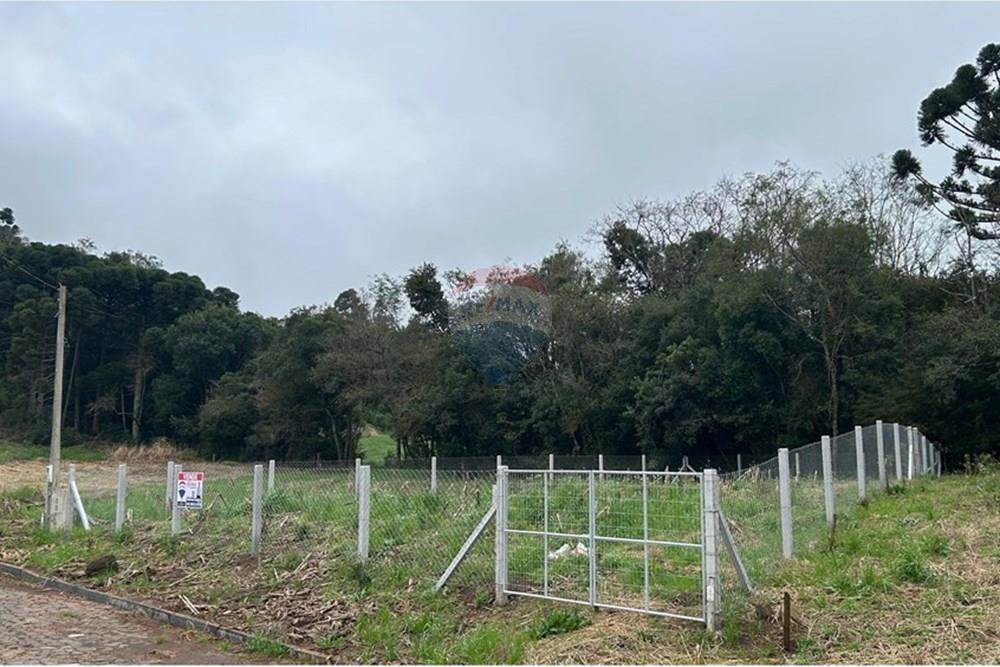 Terreno - Venda - Barão de Cotegipe , Rio Grande do Sul - WhatsApp Image 2025-08-09 at 14.34.25 (3).jpeg - Fachada - 612761035-8