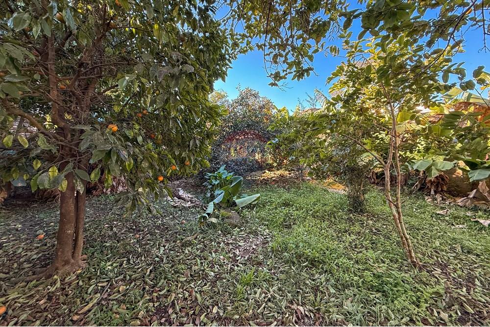 Terreno - Venda - Canoas , Rio Grande do Sul - IMG_3604.jpg - 612651056-8