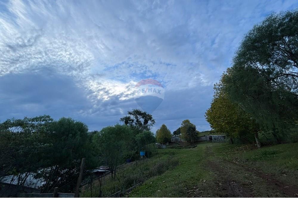 Chácara / Sítio / Fazenda - Venda - Sarandi , Rio Grande do Sul - WhatsApp Image 2025-06-06 at 17.20.43 (1).jpeg - 610341006-377