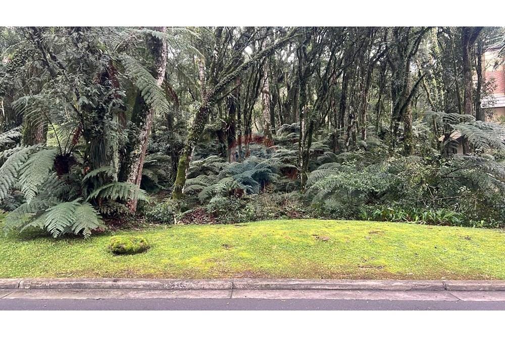 Terreno - Venda - Gramado , Rio Grande do Sul - WhatsApp Image 2024-12-12 at 06.37.30 (1).jpeg - 610131034-40