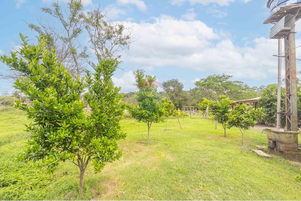 Chácara / Sítio / Fazenda - Venda - Gravataí , Rio Grande do Sul - WhatsApp Image 2025-05-26 at 18.45.27 (3).jpeg - 610381108-10