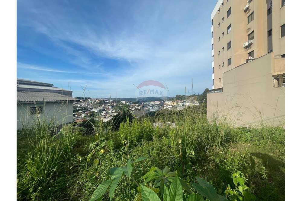 Terreno - Venda - Bento Gonçalves , Rio Grande do Sul - WhatsApp Image 2024-04-27 at 14.25.04.jpeg - 610331008-87