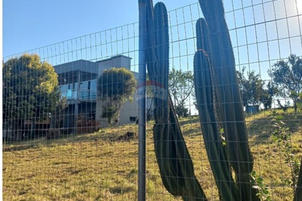 Casa - Venda - Entre Rios do Sul , Rio Grande do Sul - WhatsApp Image 2025-09-09 at 17.53.14.jpeg - 610231035-2