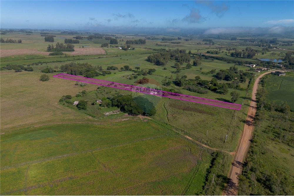 Chácara / Sítio / Fazenda - Venda - Santa Maria , Rio Grande do Sul - 4 - 610311056-76