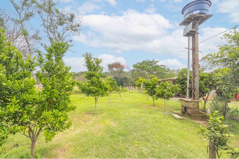 Chácara / Sítio / Fazenda - Venda - Gravataí , Rio Grande do Sul - WhatsApp Image 2025-05-26 at 18.45.27 (2).jpeg - 610381108-10