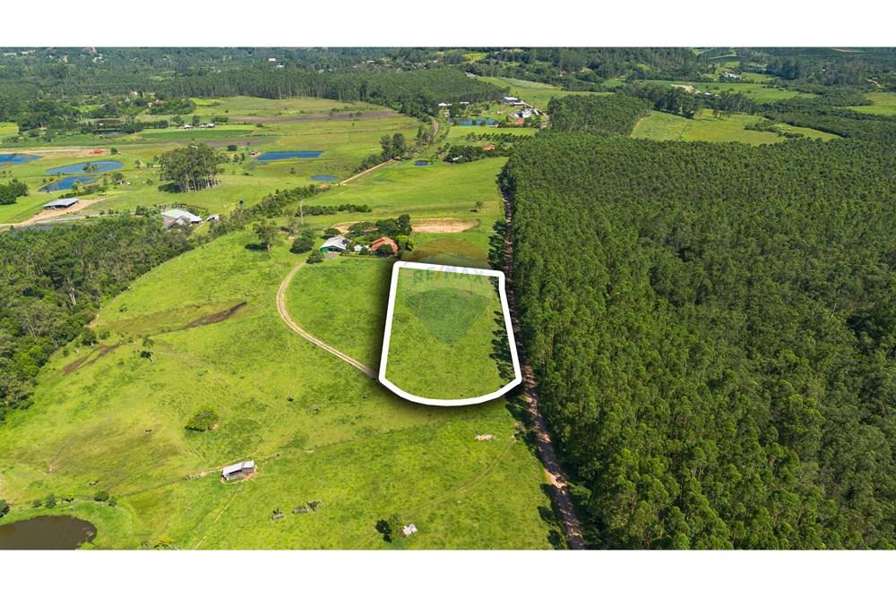 Terreno - Venda - Montenegro , Rio Grande do Sul - Foto-12i.jpg - 610091008-114