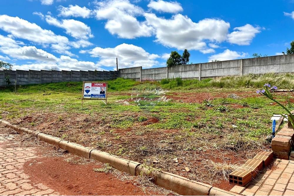 Terreno - Venda - Lagoa dos Três Cantos , Rio Grande do Sul - WhatsApp Image 2024-11-23 at 20.17.48 (1).jpeg - 610271058-65